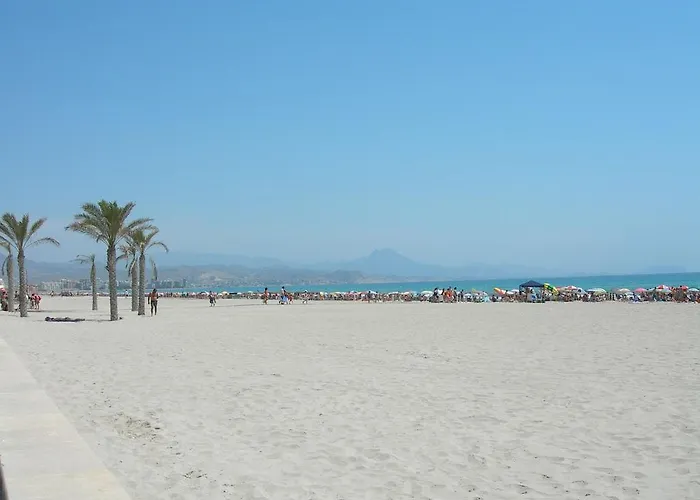 Willa Paradise Campello